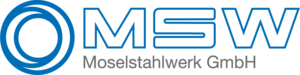 Logo_msw.png
